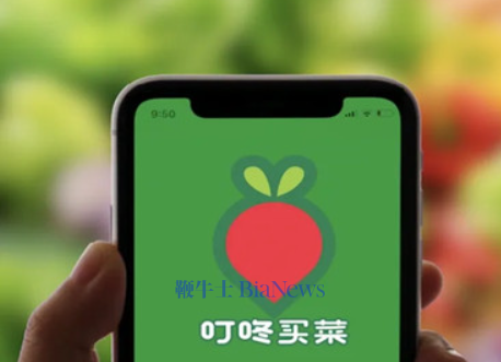 传叮咚买菜要被京东收购，知情人士：暂无收购计划