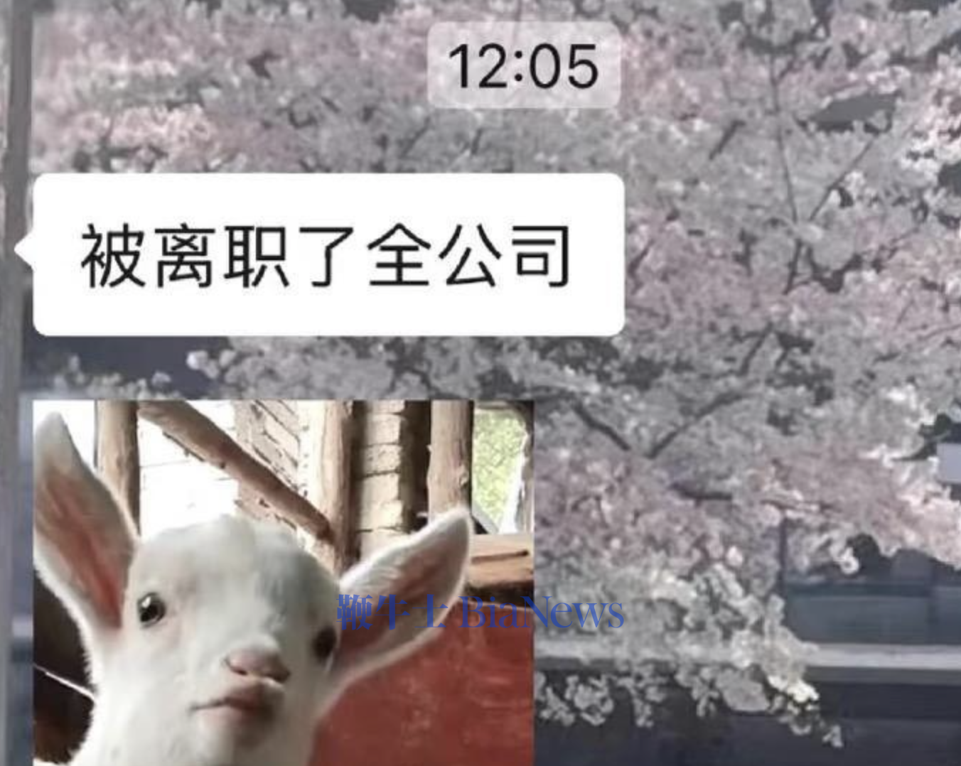 离谱！携程误发全员离职通知