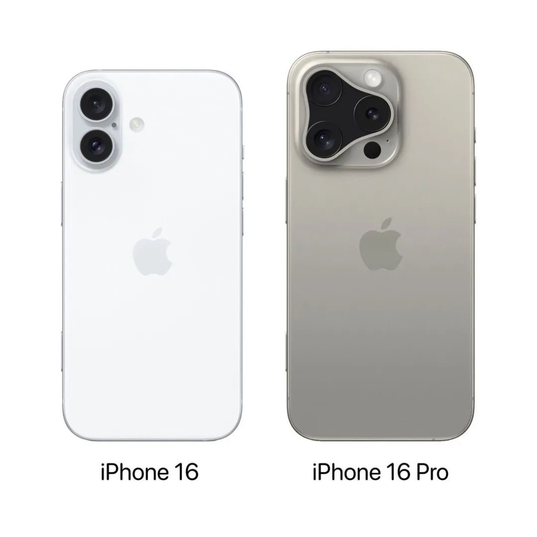 苹果12pro外观图说明图图片